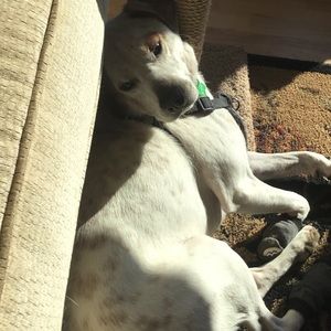 Meet your Posher, Bel